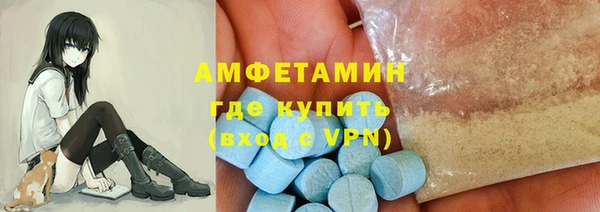 сатива Карпинск