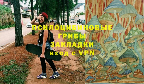 хмурый Каменногорск
