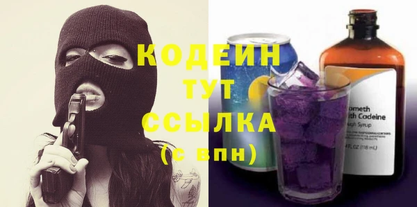 дурь Каменка