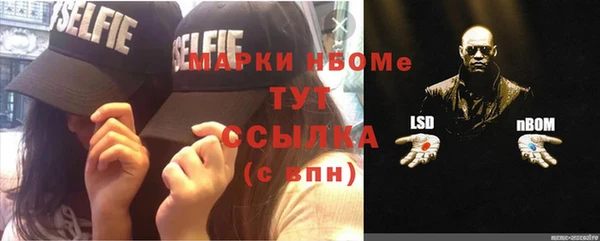 хмурый Каменногорск