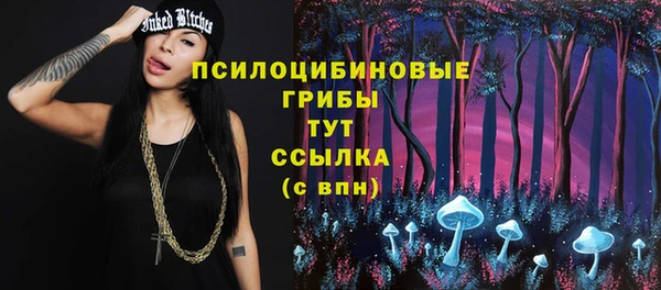 дурь Каменка