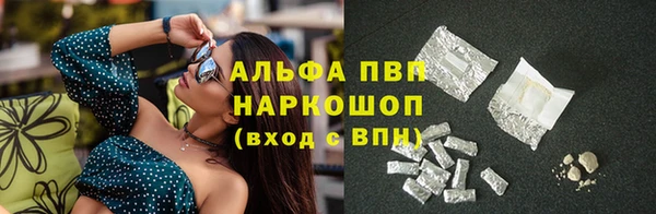 стаф Янаул