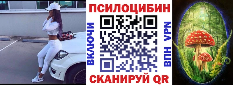 Псилоцибиновые грибы Psilocybe  что такое наркотик  Краснознаменск 